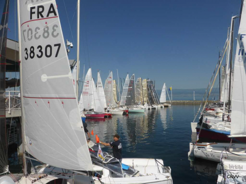 NEWSESTLYONNAIS - CHAMP VOILE MJC