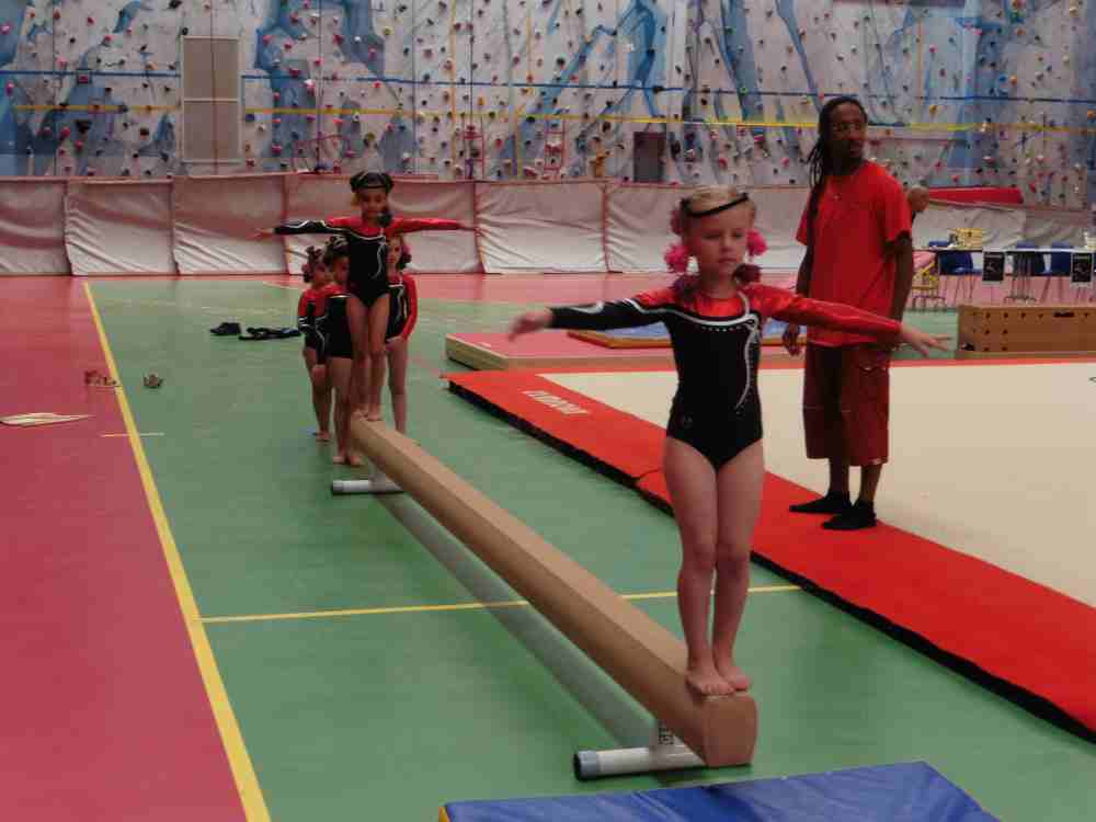 NEWSESTLYONNAIS - GALA GYM INDEP