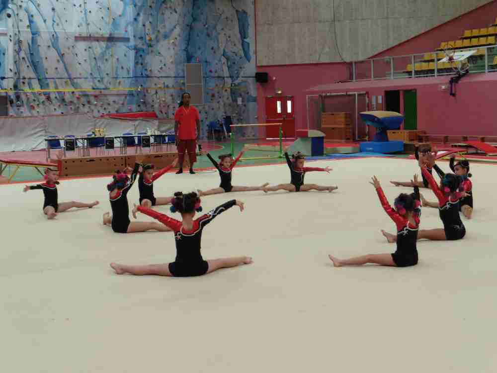 NEWSESTLYONNAIS - gala indep gym